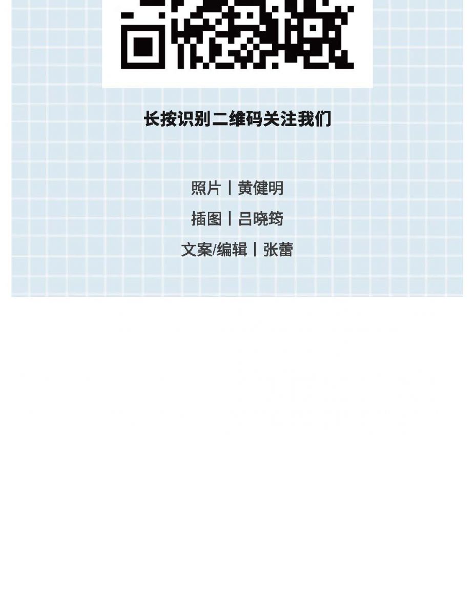 @金溪人，誰“羽”爭鋒！